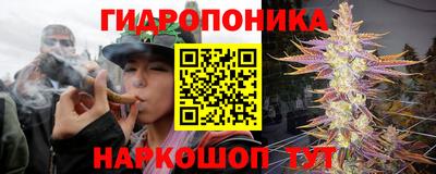 хмурый Ликино-Дулёво